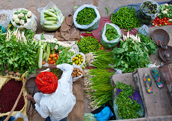 Rajasthan (india)