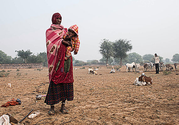 Rajasthan(India) 