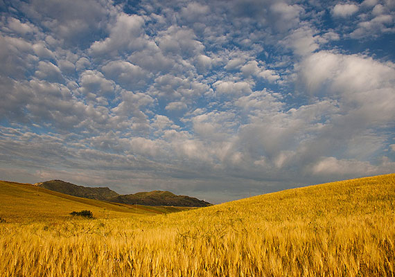  Sicilia